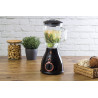 BLENDER BERLINGER HAUS BLACK ROSE BH-9025