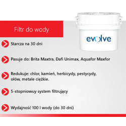 Wkład filtr do wody Aqua EVOLVE Brita Maxtra 30 dni